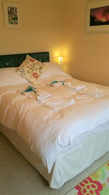 Bed and Breakfast Horsna Parc Retreat Saint Tudy Екстер'єр фото