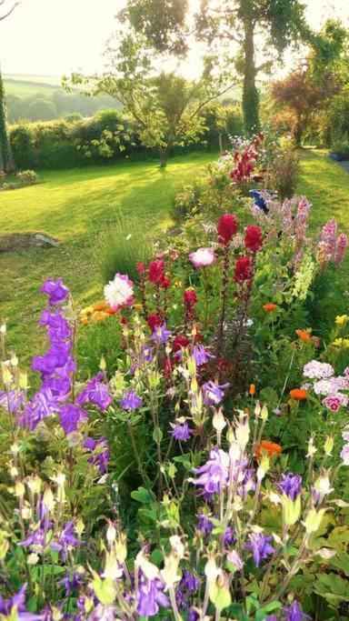Bed and Breakfast Horsna Parc Retreat Saint Tudy Екстер'єр фото